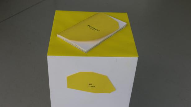 MIMOSA/S/ Restitution de résidence 2