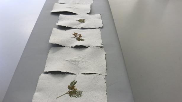 MIMOSA/S/ Restitution de résidence 2