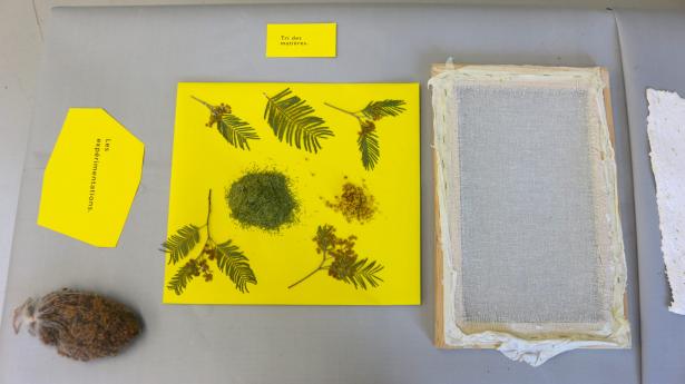 MIMOSA/S/ Restitution de résidence 2