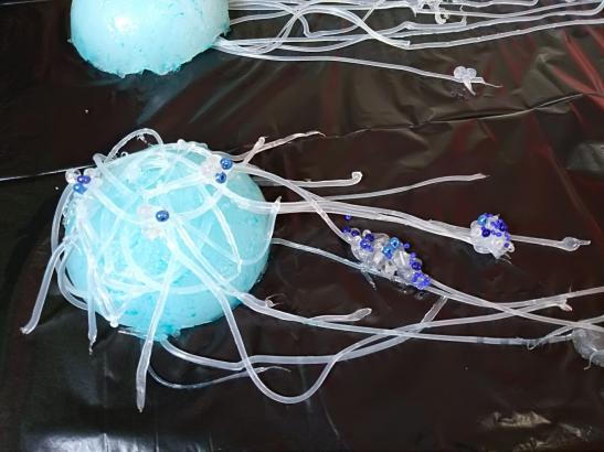 Visites de l’atelier : l’évolution des méduses immortelles