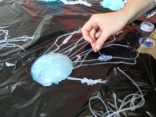 Visites de l’atelier : l’évolution des méduses immortelles