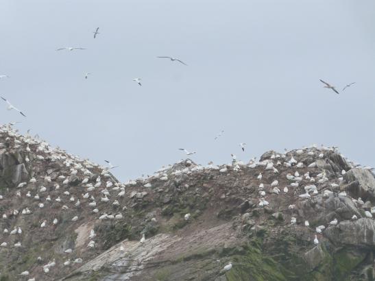 Sortie aux 7 îles