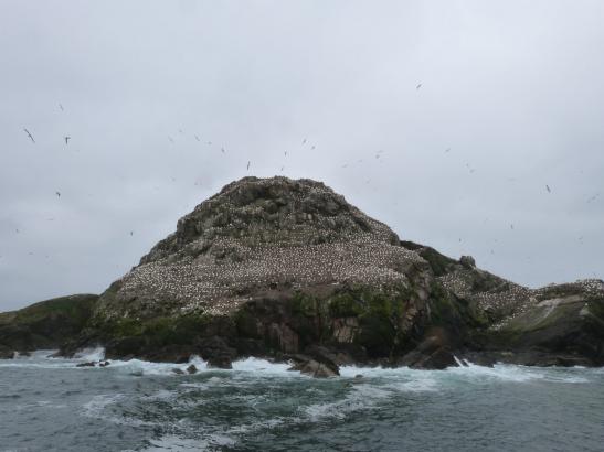 Sortie aux 7 îles