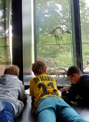 Visite du Muséum d’histoire naturelle de Toulouse