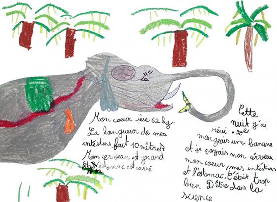 Mon cœur... par Noémie