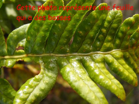 Au tout début du projet…