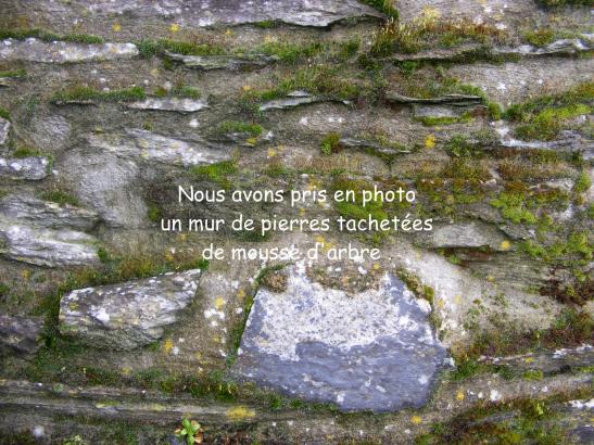 Au tout début du projet…