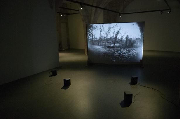 PLUS QUE DES VOIX, vue d'exposition, Espace Saint Ravy © Corentine Le Mestre