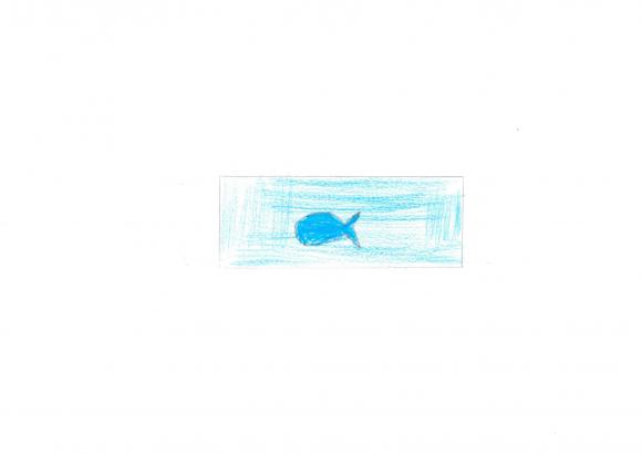 Les dessins des CP/ CE1