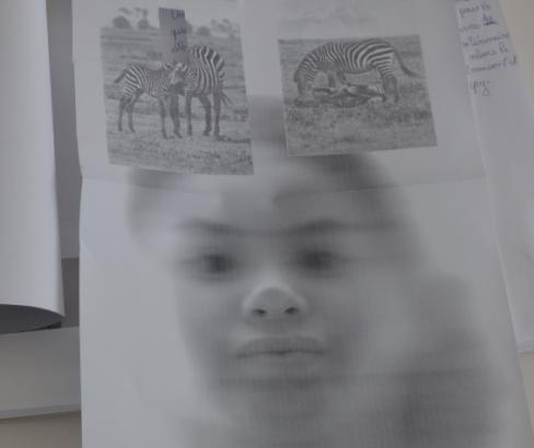 La scanographie