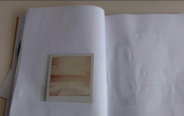 Le Polaroïd