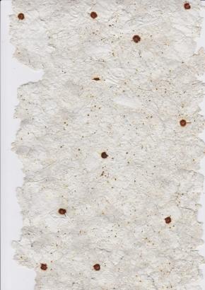 PAPIER RECYCLÉ DE MIMOSA