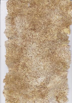 PAPIER RECYCLÉ DE MIMOSA