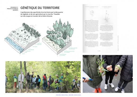 L’appréhension des specificités d’un territoire par la découverte du végétale, et de son agriculture par la marche. Travailler sur des coupes et transect de la lisière littorale.