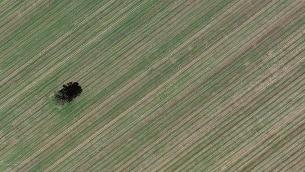 Repérage à partir d'images satellite ( plaine de Caen )