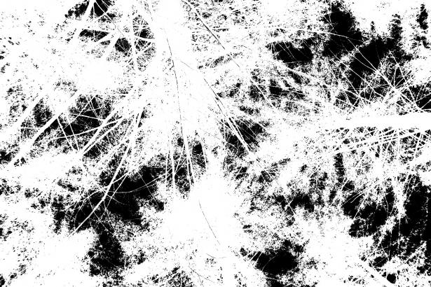 Visuel sérigraphie, expérimentation avec le noir et blanc.