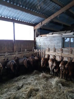 A la Fromagerie de Salérans