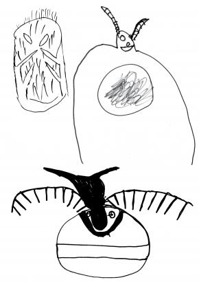 dessin