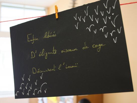 Expositions des haïkus