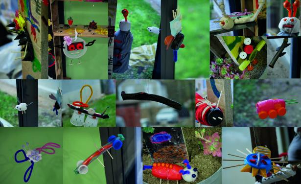 insectes