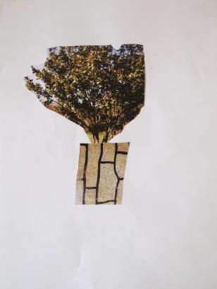 collage école du Lac