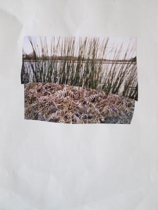 collage école du Lac