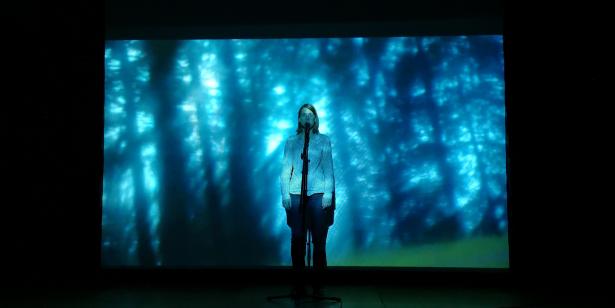 A l'intérieur : Nos paysages - ELSE 2024 - Apocalypse Joyeuse - Gaspard Liberelle - Maëva Guillemet - Evelyne Hotier - Fantin Curtet