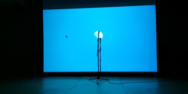A l'intérieur : Nos paysages - ELSE 2024 - Apocalypse Joyeuse - Gaspard Liberelle - Maëva Guillemet - Evelyne Hotier - Fantin Curtet