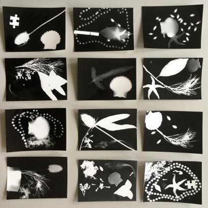 Les premiers photogrammes réalisés par les élèves.