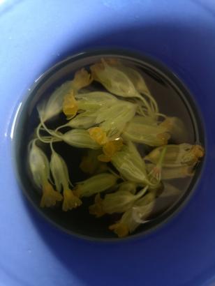 infusions