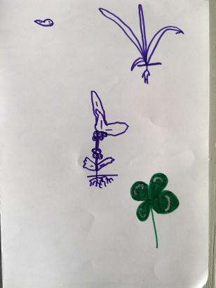 Dessin 2