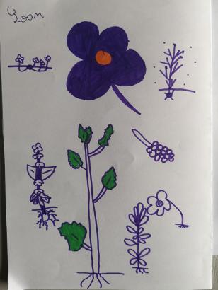 Dessin 1