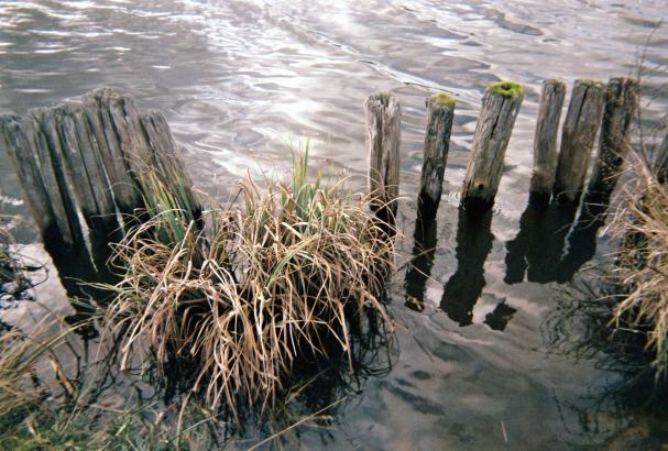 Poteau d'eau