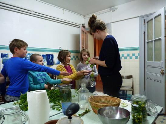 dégustation de plantes crues
