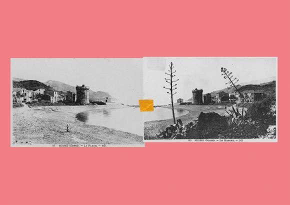 collage
