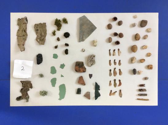 Eléments récoltés par les élèves au musée de l'Argonne et monument américain