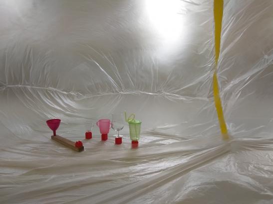 Expérimentation : mise en place d'une exposition au sein de la bulle. 