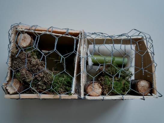 un refuges pour les insectes