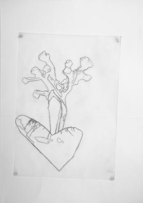mansigné dessin