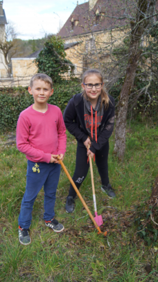 plantation capucines