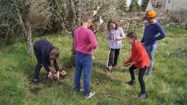 plantation capucines