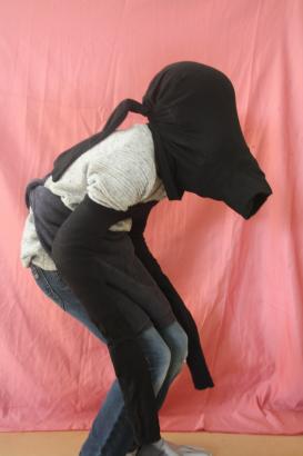 Animaux textile