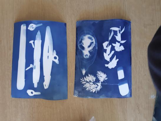 cyanotype