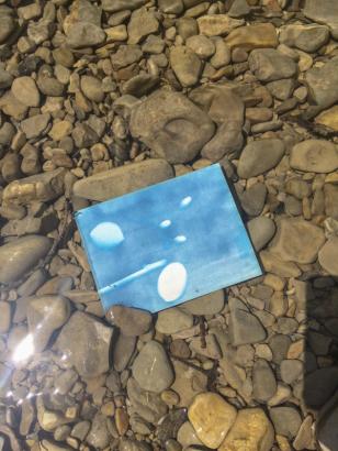 Cyanotype