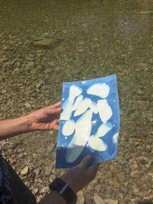 Cyanotype