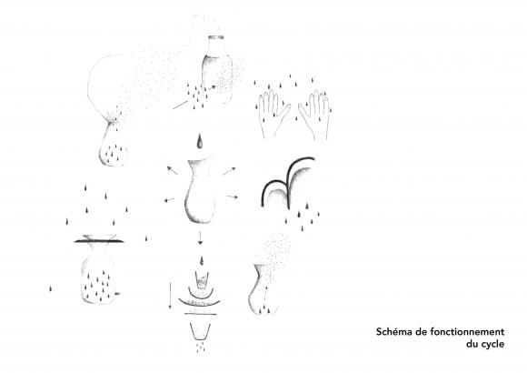 Schéma de principe du cycle de l'eau dans A.rium
