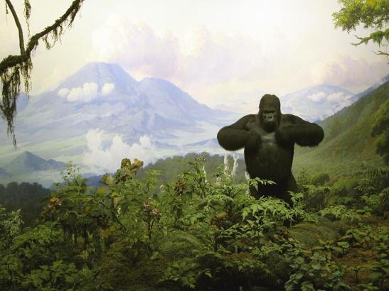 American Museum of Natural History de New York