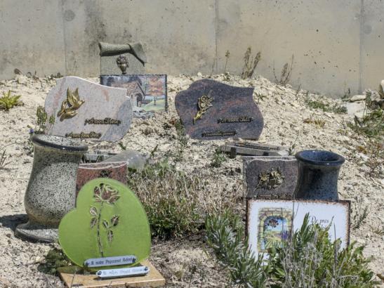 La tombe du grand-père, Manon B.