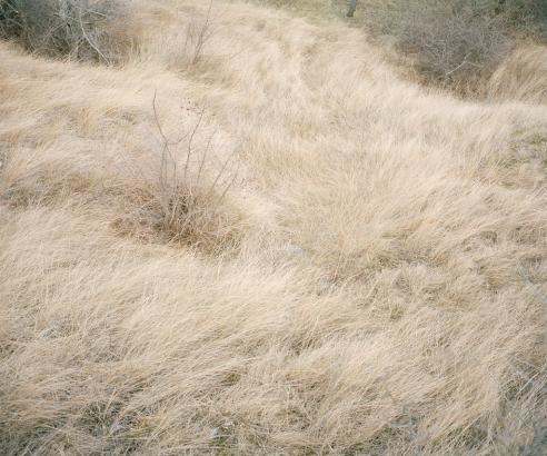 Herbes (Mison) © Vivien Ayroles