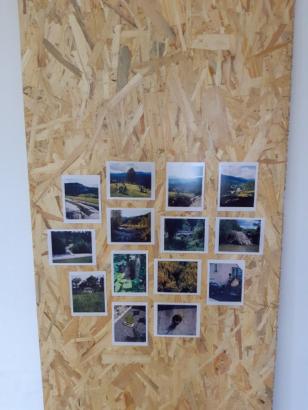 Les reconductions © Vivien Ayroles